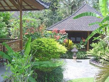 Decorative House Gardens