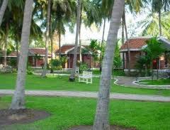 green coconut resort
