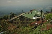 Makaibari Tea Estate