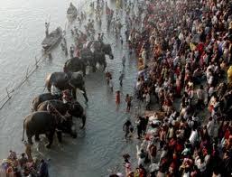 Sonepur Mela, cattle fair in Bihar: highlights, history and attractions Sonepur Mela, cattle fair in Bihar: highlights, history and attractions