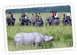 Kaziranga National Park