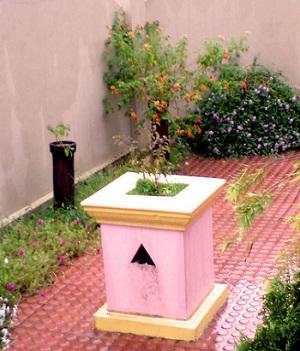 Potted Tulsi Plant for Worship