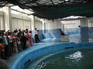 View of Dolphin City