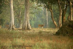 Kahna National Park