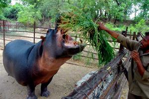 Nehru Zoological Park Andhra Pradesh