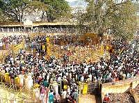 Medaram Jatara