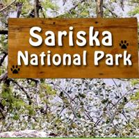sariska national park