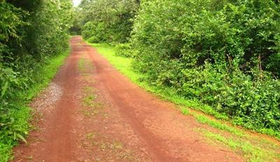 Jeep Tracks