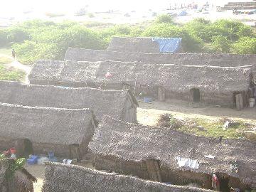 Point Calimere Adivasi Colony
