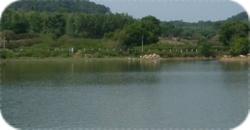 Yelagiri Lake