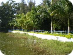 Yelagiri031