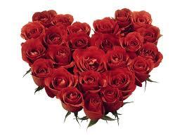 valentines day celebration in kolkata