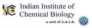 iicb jrf jobs 2011