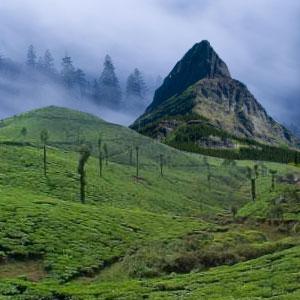 DARJEELING- A Complete Hideout In The Hills!