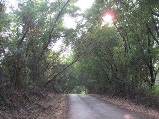 Suakhal Rajhat: Picnic spot in Hooghly near Kolkata