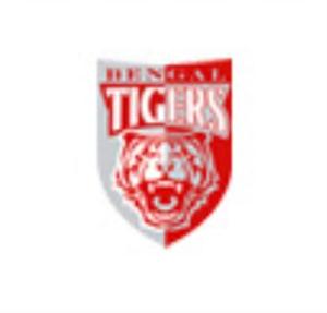 Bengal Tigers CCL 2013