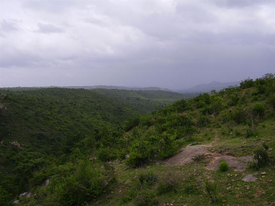 muthyala maduvu photo 1