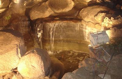 interior beauty of the park